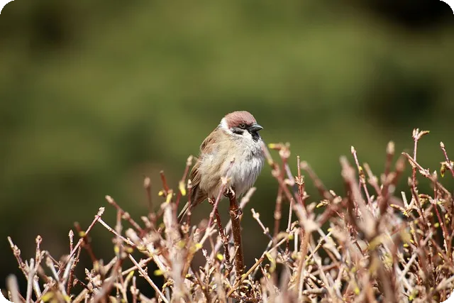 1기신도시재건축 미래형 도시로의 변화는?