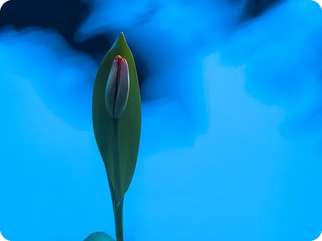 가치주 어떻게 성장성을 판단할까