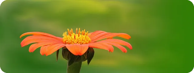 내일채움공제 청년의 자산을 불리다