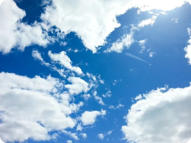 부동산임장 필수 체크사항 알아보기