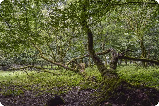 소득세율 쉽게 이해하기 궁금증 해소
