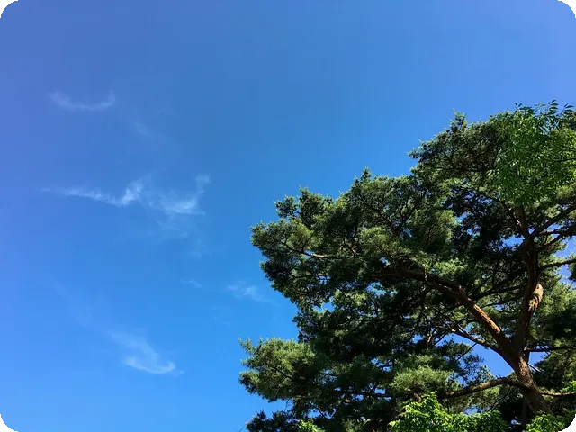 저축은행예금금리 비교와 혜택을 놓치지 마세요