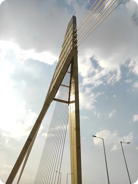 전월세신고제, 과태료 최대 100만원의 진실은?