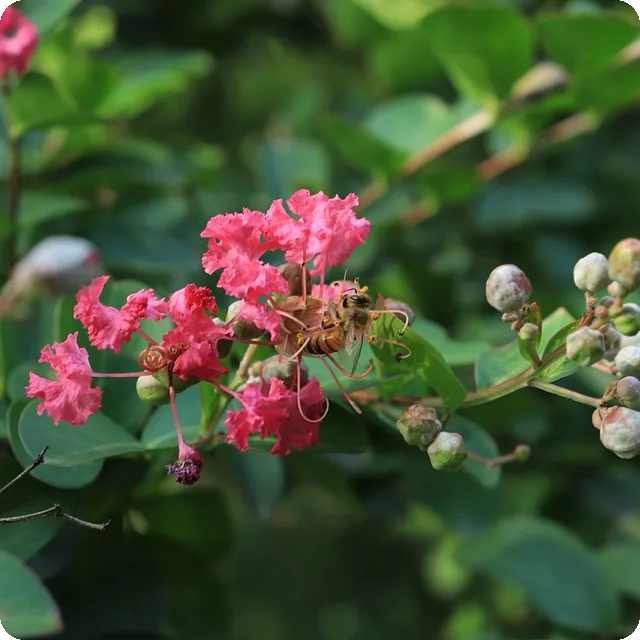 주휴수당조건과 계산법 알아보기