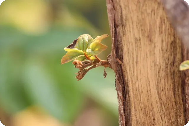핀테크 혁신, 해외 진출 기회는?