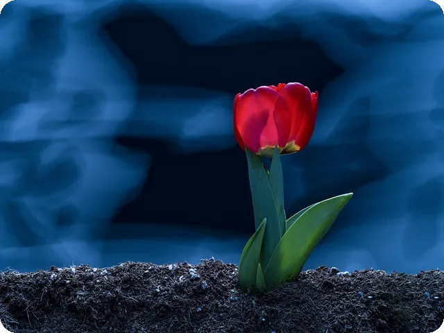 핀테크 혁신, 해외 진출 기회는?