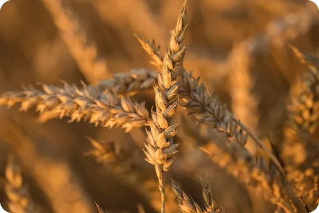 핀테크 혁신, 해외 진출 기회는?