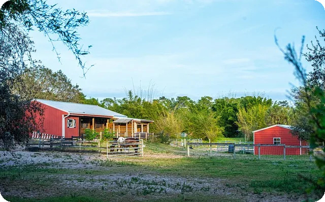 6개월예금이 1년 보다 금리가 높은 이유는?