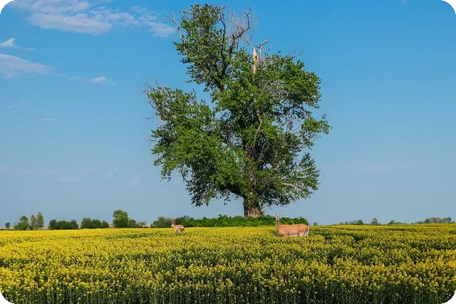 CDMO 관련주 도약 전략과 핵심 기업 분석