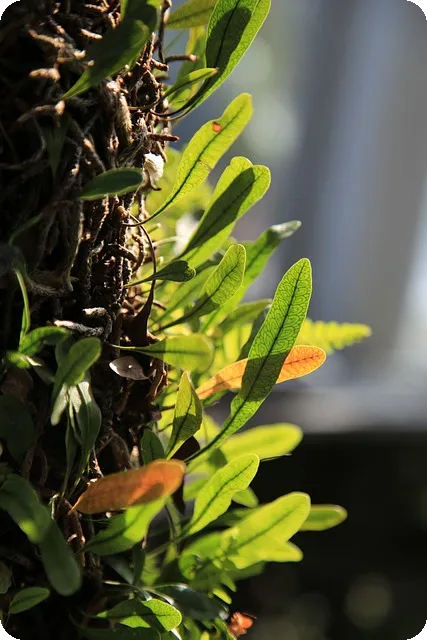 금호석유주가 전망 어떻게 될까 과거 흐름과 분석