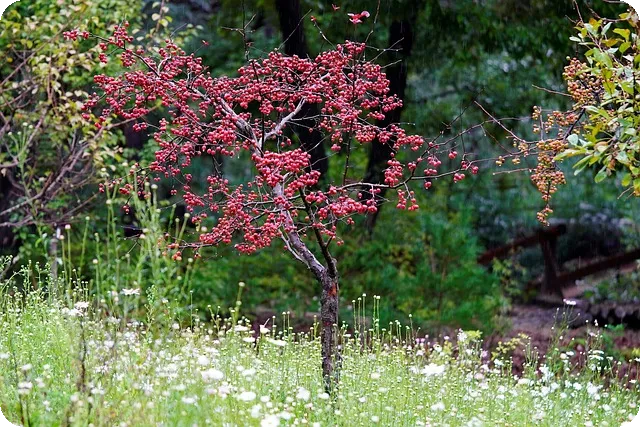 누진공제액으로 소득세 쉽게 계산하는 방법