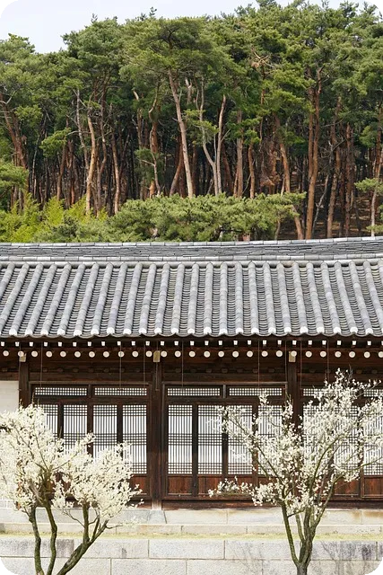 부산신축아파트 입주청소 핵심비결과 실전 노하우