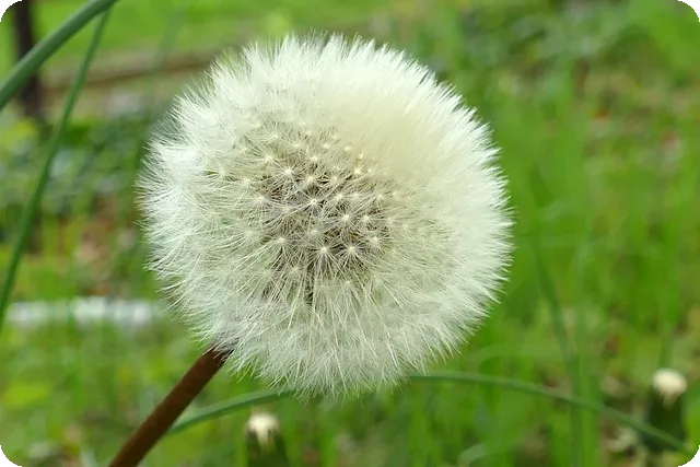 비트코인지갑 해킹 사례비교와 안전한 관리법은 무엇인가