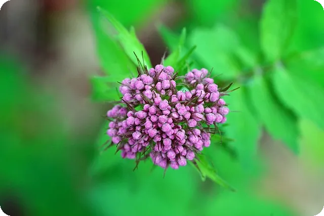 서연주가 전하는 장애 극복과 삶의 희망