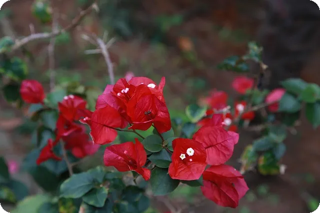 아파트경매대출 최대한도와 최적조건 완전정복