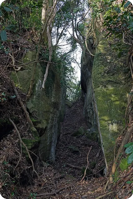 에이치엘비생명과학주가 전망과 FDA 승인 기대