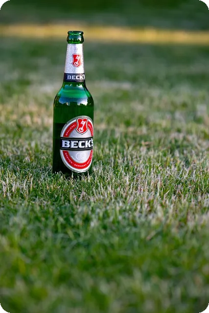 입찰 절차와 유의사항 완전 정리