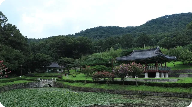 입찰 절차와 유의사항 완전 정리