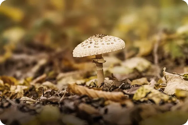 조합원입주권매매 절차와 필수서류 총정리 질문