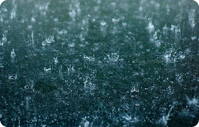 주식미수 이자 미납 시 대처방법은