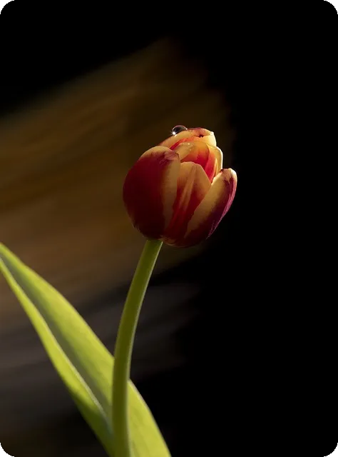 중견기업기준 5가지 모두 아시나요?