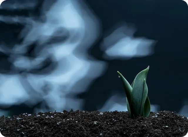 켐트로스주가 상승 예측 과 미래 전망