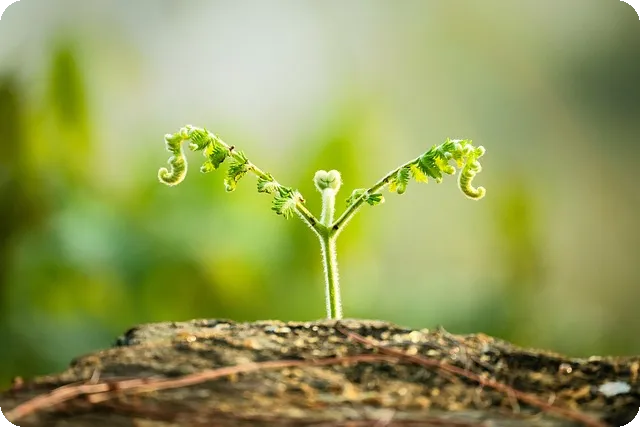 한국판뉴딜관련주 투자전략과 정책이 갖는 미래 성장 기회분석