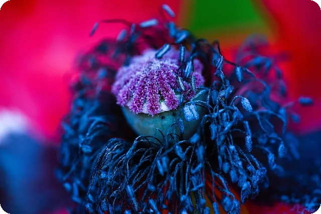 한남나인원 쌀국수 맛집 베스트 추천과 인기 메뉴 분석