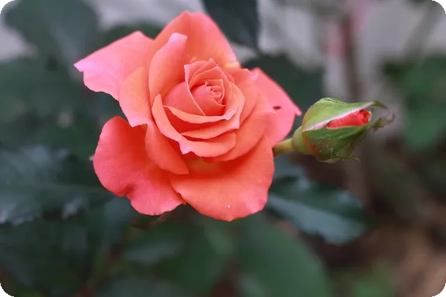 해외직구관세 피하는 방법과 꿀팁은?