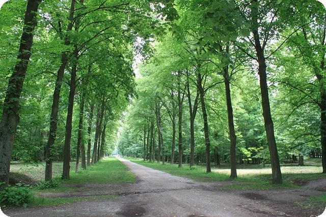 후순위대출 알아보기 풀가이드와 조건금리 비교