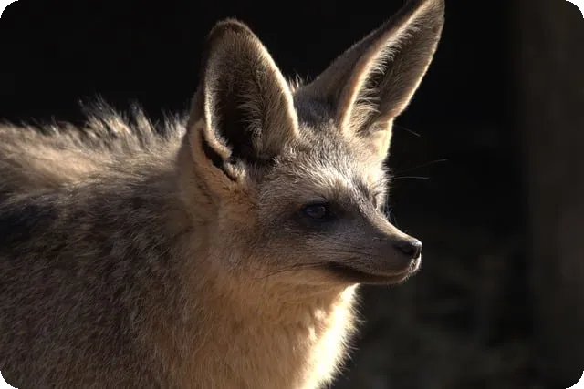 내생에 첫주택 대출 조건 알아보기 궁금증 해결