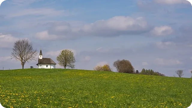 대출사기 피해 예방과 대응법 알아보기
