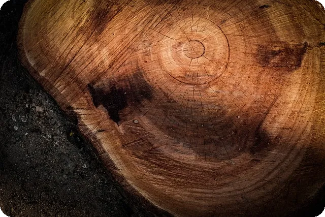 빌라매매대출 한도와 규제 완전 정복