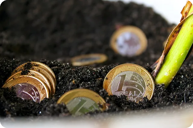 사금융대출한도 안전하게 확인하기 전략