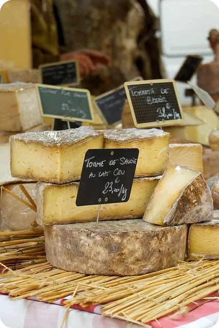 삼성바이오에피스주가 미래전망 바이오 헬스케어 성장 기대