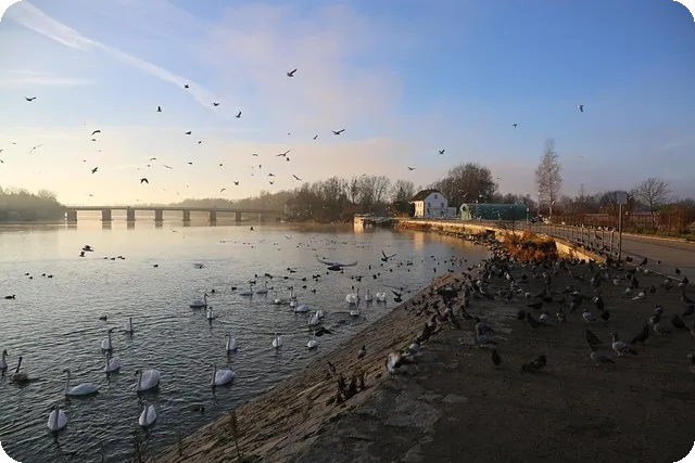 소상공인 정책자금과 보증서대출 총정리 어떻게 신청할까