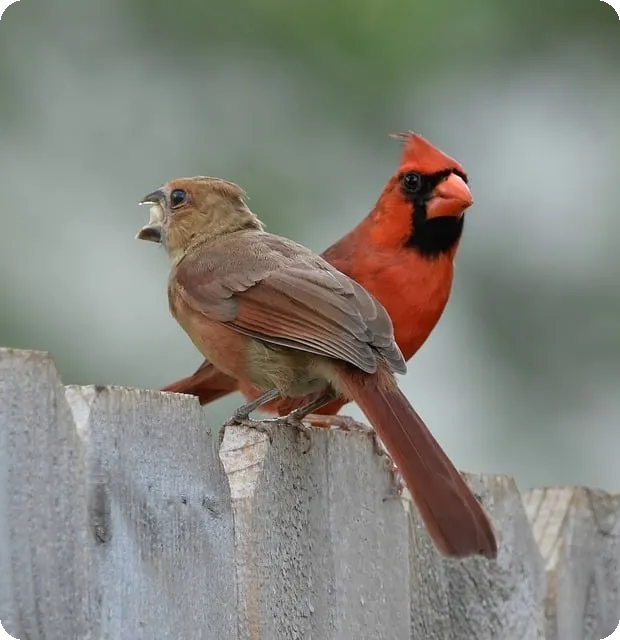신용대출 최저금리 비교로 금융비용 절감하는 방법은?