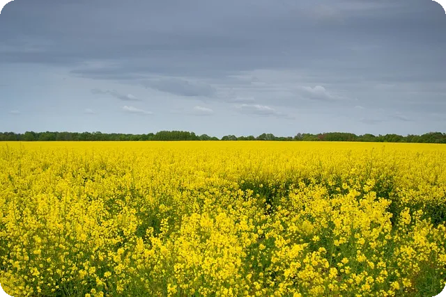 인트론바이오주가 상승 전망과 투자 가능성 분석
