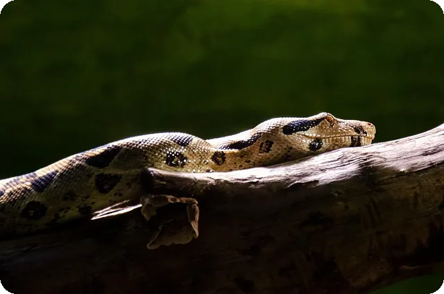 전세자금 대출 필요서류 및 신청 가이드