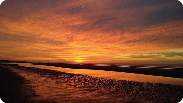 전세자금대출 완전정복 안전하게 선택하는 법