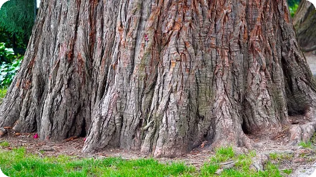 전세자금대출 계산기 이용법과 실시간 상환 예측