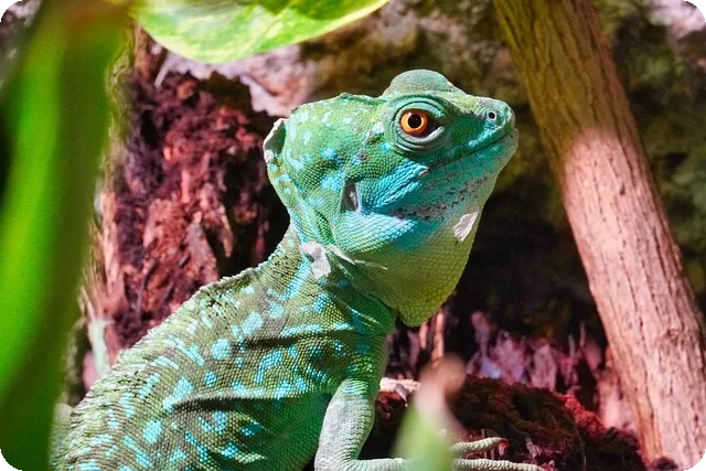 전세자금대출 계산기 이용법과 실시간 상환 예측