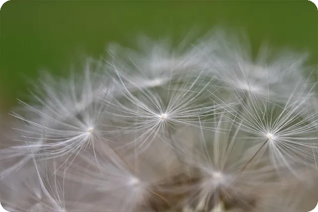 제이엔티씨주가 전망과 투자장단점 총정리