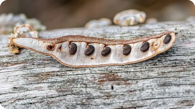 한국장학재단 학자금대출 기간 신청 방법 알아보기