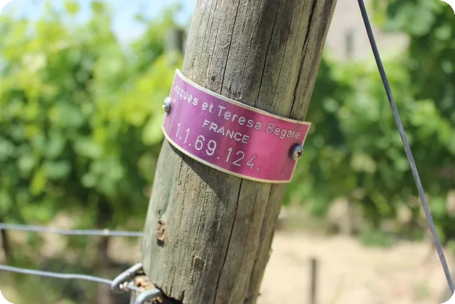 힐스테이트몬테로이 아파트 관리비와 실거래 가격 분석