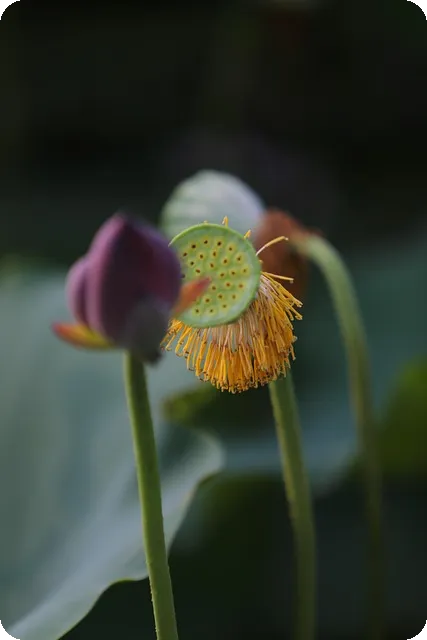 DB저축은행온라인햇살론 재직전화 없이 대출 가능 방법은