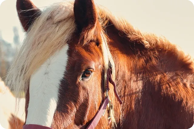nh농협 대출상품 완벽 가이드 모든 혜택은?