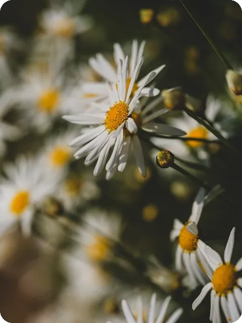 금양주가 서산 호수공원 술집 추천 이유와 맛집 탐방
