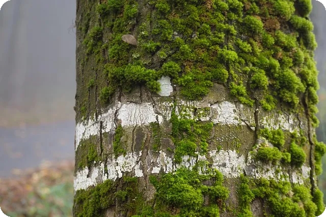 대출 중도상환 계산기 사용법과 이점은 무엇일까