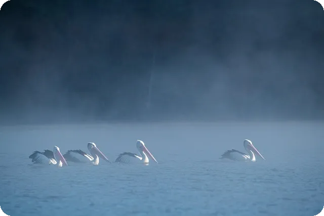대출모아 대출, 나에게 맞는 대출은?